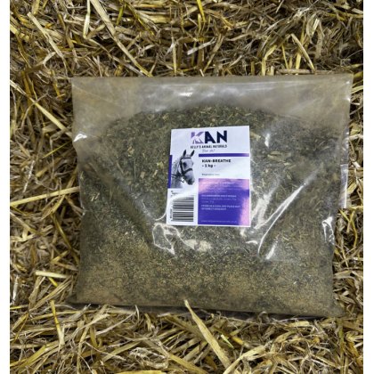 Respiratory Respiratory