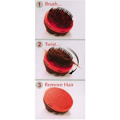 Solo Brush Solo Brush