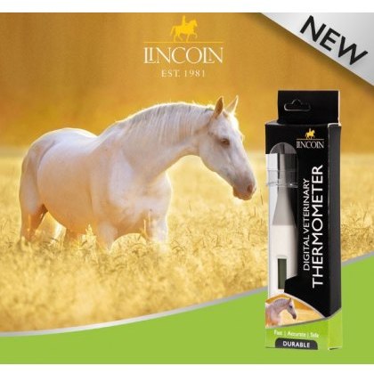 Lincoln Digital Thermometer Lincoln Digital Thermometer