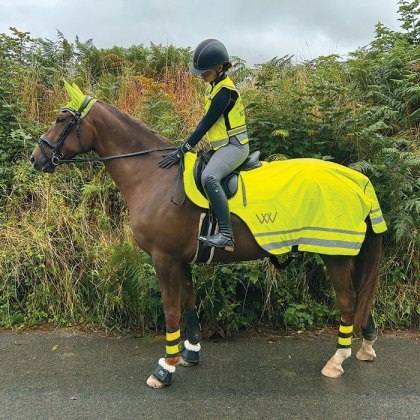 Woof Wear Hi Vis Exercise Sheet Woof Wear Hi Vis Exercise Sheet