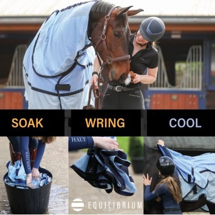 Equilibrium Quick Chill Cooling Rug (Detachbable Neck) Equilibrium Quick Chill Cooling Rug (Detachbable Neck)