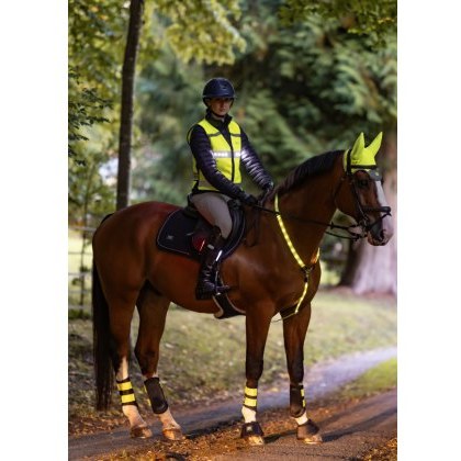 Woof Wear LED Neck Band - Hi Vis Yellow Woof Wear LED Neck Band - Hi Vis Yellow