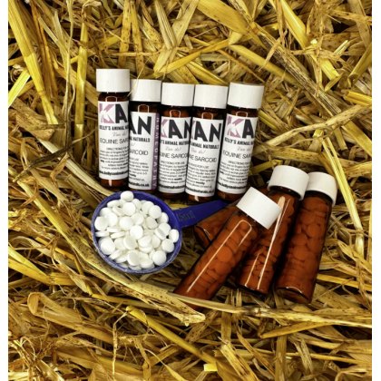 Homeopathy Homeopathy