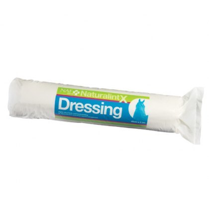 Dressing Dressing