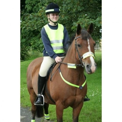 Airowear Highlite Reflective Tabard Airowear Highlite Reflective Tabard