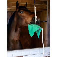 LeMieux Horse Toy - Stingray LeMieux Horse Toy - Stingray