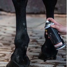 Smart Grooming Cover Up Spray - Black Smart Grooming Cover Up Spray - Black