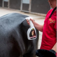 Smart Grooming Coat Sheen Body Spray Smart Grooming Coat Sheen Body Spray