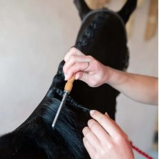 Smart Grooming Mane Comb Smart Grooming Mane Comb