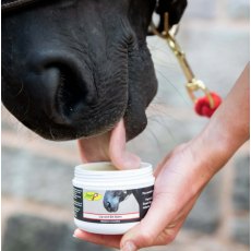 Smart Grooming Lip & Bit Balm Smart Grooming Lip & Bit Balm