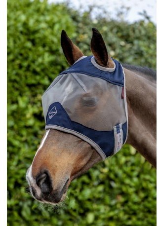 Horse wearing Earless fly mask