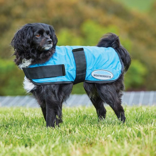 Weatherbeeta Weatherbeeta Therapy-Tec Cooling Dog Coat