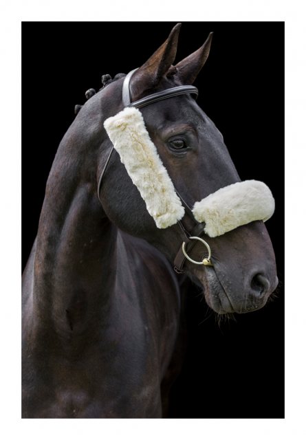 Cameo Equine Cameo Equine Lambswool French Blinkers