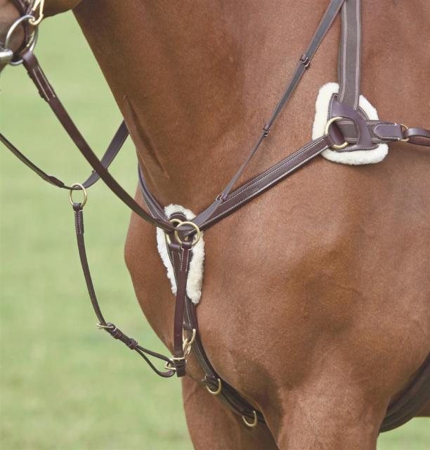 Shires Shires Salisbury Five Point Breastplate