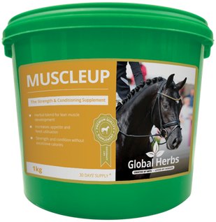 Global Herbs MuscleUp