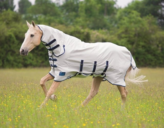 White horse galloping in Shires Tempest Sweet Itch Combo rug