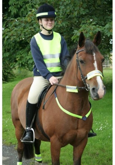 Rider in reflective vest on a horse