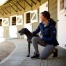 woman with dog in stables