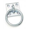 Shires Tie Ring With Plate