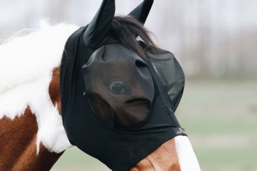 Fly Masks