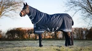 Turnout Rugs