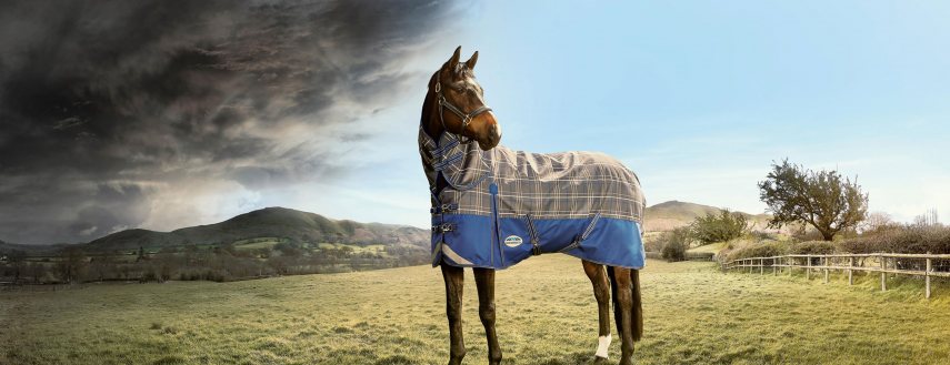 Weatherbeeta Weatherbeeta