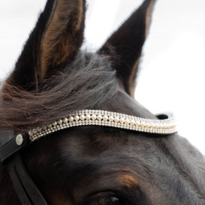 Bridles, Bridlework - Buy Online - Unicorn Saddlery