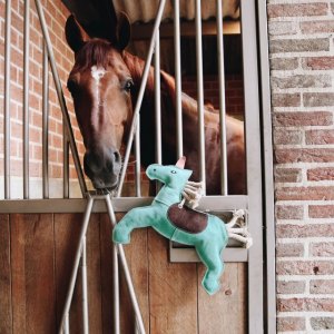 Stable Toys