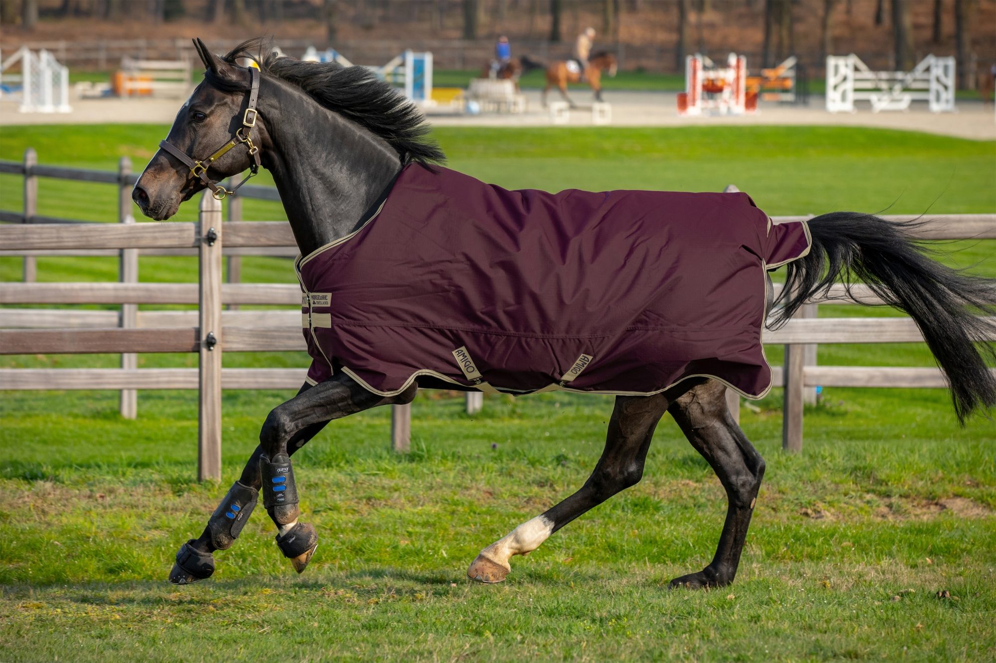 Amigo Hero Ripstop 100g Turnout Rugs Unicorn Saddlery