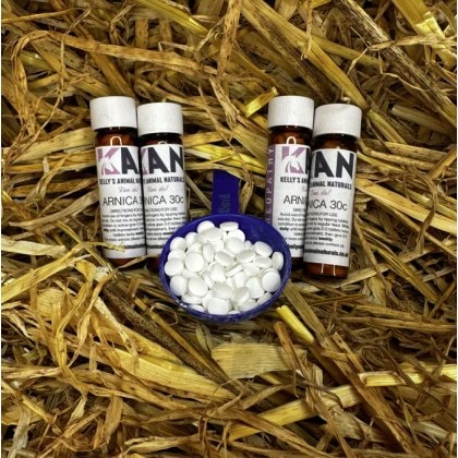 Kelly's Animal Naturals Scutellaria Kelly's Animal Naturals Scutellaria