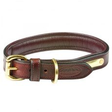 Weatherbeeta Padded Leather Dog Collar Weatherbeeta Padded Leather Dog Collar