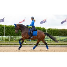 LeMieux Loire Classic Dressage Square - Benetton