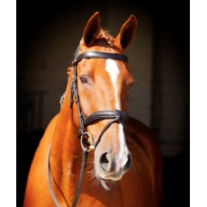 Ecorider Claddagh Bridle Ecorider Claddagh Bridle