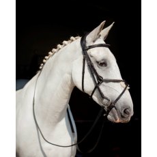 Ecorider Galway v2.0 Grackle Bridle Ecorider Galway v2.0 Grackle Bridle