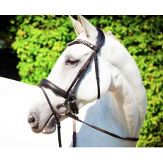 Ecorider Navan v2.0 Bridle Ecorider Navan v2.0 Bridle