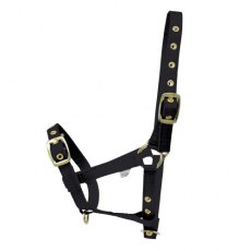 Hy Foal Head Collar