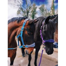 Cameo Equine Elite Headcollar & Rope