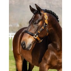 LeMieux Capella Headcollar - Ginger