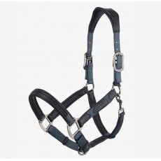 LeMieux Capella Headcollar - Petrol