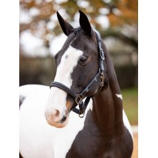 LeMieux Capella Headcollar - Petrol