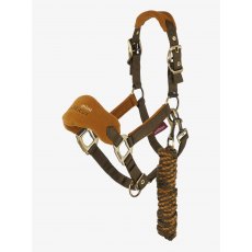 LeMieux Mini Vogue Headcollar - Alpine