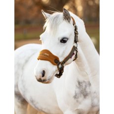 LeMieux Mini Vogue Headcollar - Alpine