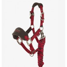 LeMieux Mini Vogue Headcollar - Ember