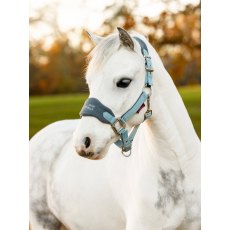 LeMieux Mini Vogue Headcollar - Glacier