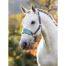 LeMieux Vogue Headcollar - Petrol