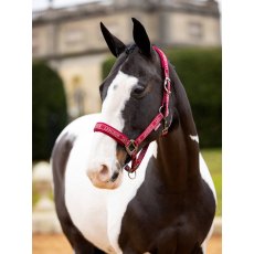 LeMieux Logo Headcollar - Ember