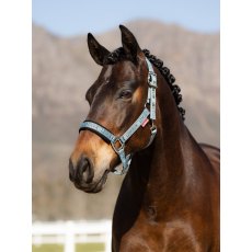 LeMieux Logo Headcollar - Glacier