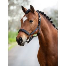 LeMieux Logo Headcollar - Cinder