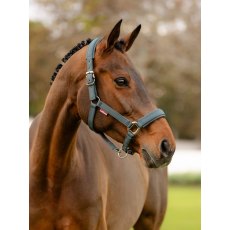 LeMieux Soft Shell Headcollar - Cinder