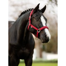 LeMieux Soft Shell Headcollar - Ember